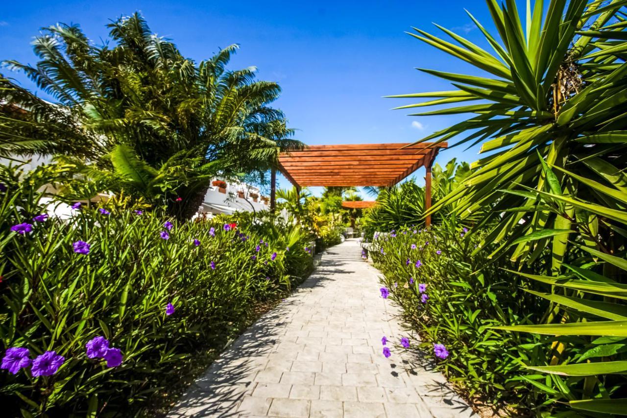 Parque Don Jose Apartment Costa Del Silencio Kültér fotó
